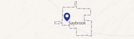 Saybrook, IL 61770