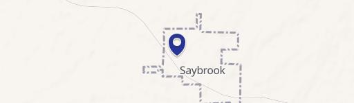 Saybrook, IL 61770