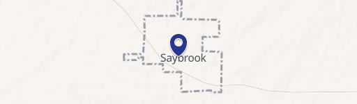 Saybrook, IL 61770