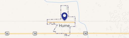 Hume, IL 61932