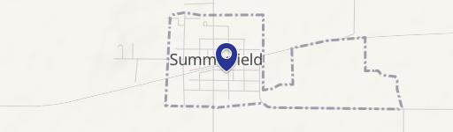 Summerfield, IL 62289