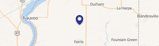 Dallas City, IL 62330