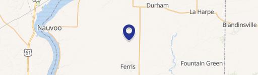 Dallas City, IL 62330