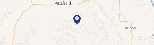 Pittsfield, IL 62363