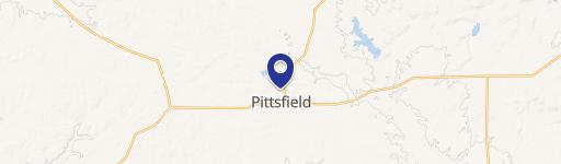 Pittsfield, IL 62363