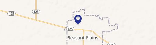 Pleasant Plains, IL 62677