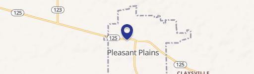 Pleasant Plains, IL 62677