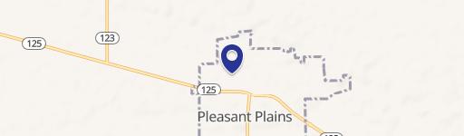 Pleasant Plains, IL 62677