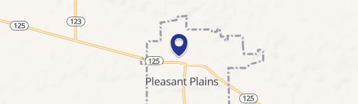Pleasant Plains, IL 62677