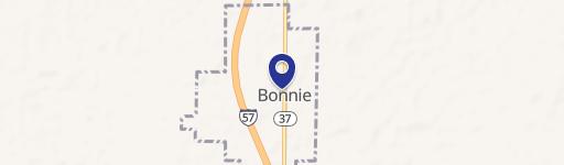Bonnie, IL 62816