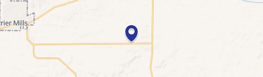 Carrier Mills, IL 62917