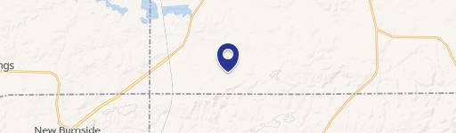 Carrier Mills, IL 62917