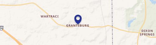 Grantsburg, IL 62943