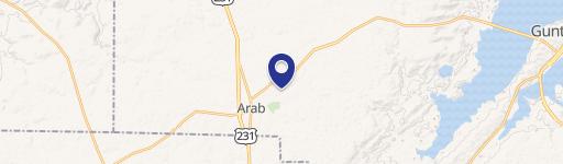 233 Brindlee Mtn Pkwy