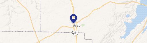 221 Brindlee Mtn Pkwy