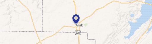 111 Brindlee Mtn Pkwy