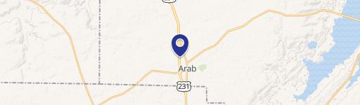 619 Brindlee Mtn Pkwy