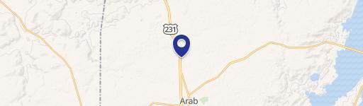 1920 Brindlee Mtn Pkwy