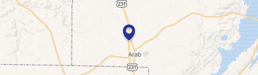 933 Brindlee Mtn Pkwy