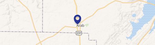 64 Brindlee Mtn Pkwy