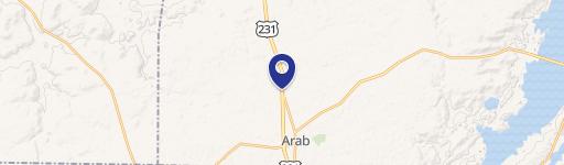 1445 Old Huntsville NW Hwy