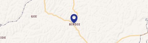 1499 Birdie Rd