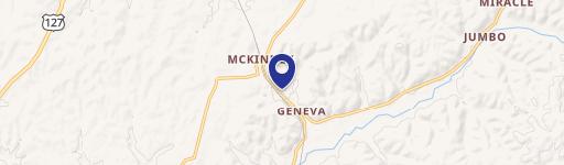 691 Geneva Mckinney Rd