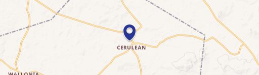 Cerulean, KY 42215