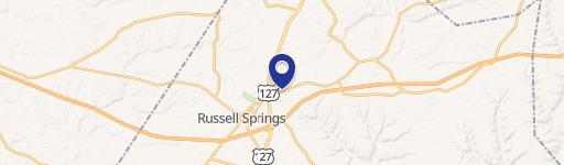 523 Steve Wariner Dr