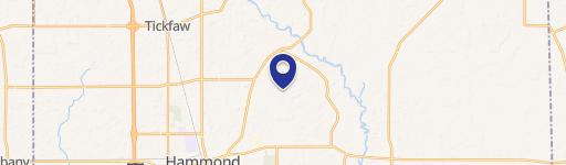 19163 Magnolia Banks