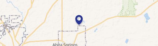 73930 Whistling Duck