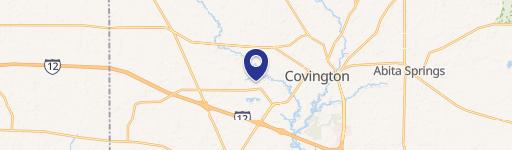 137 Terra Bella Blvd