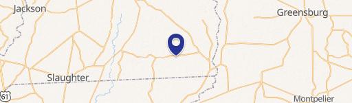 13846 John Genola Ln