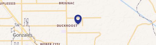 44400 Louis Delaune Rd