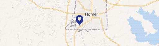 Homer, LA 71040