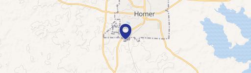 Homer, LA 71040