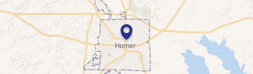 Homer, LA 71040