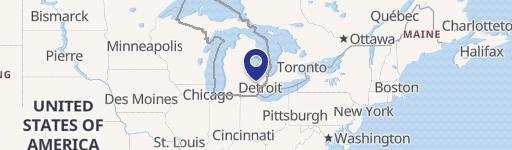 Nick Lidstrom Dr, MI 