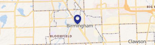 100 Old Woodward Ave