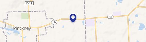 Pinckney, MI 48169