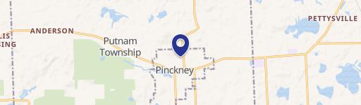Pinckney, MI 48169