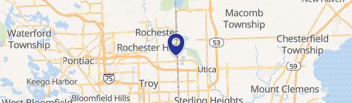 Rochester Hills, MI 48307