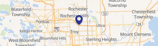 Rochester Hills, MI 48307
