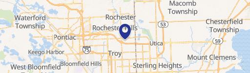 Rochester Hills, MI 48307