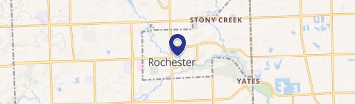 Rochester, MI 48307