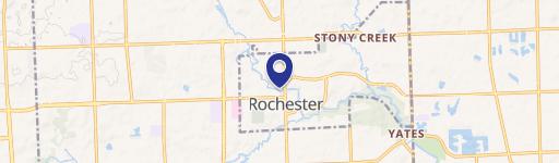 Rochester, MI 48307