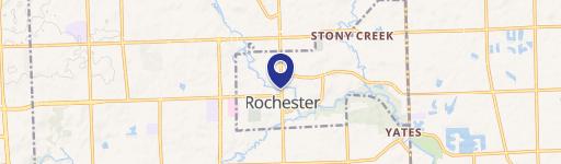Rochester, MI 48307