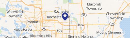 Rochester Hills, MI 48307