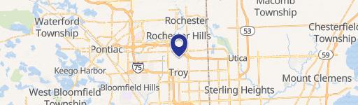 Rochester Hills, MI 48307