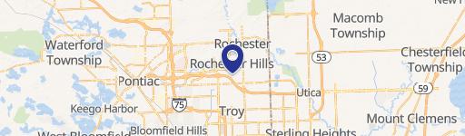 Rochester Hills, MI 48307